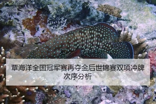 覃海洋全国冠军赛再夺金后世锦赛双项冲牌次序分析